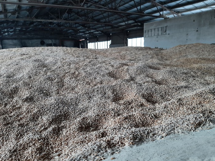 Predaj z dvora Prodbobrov